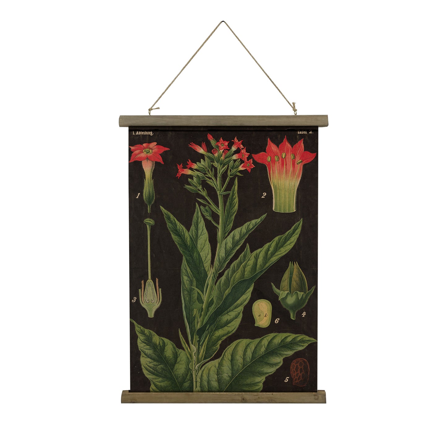 Home Vintage Scroll Hanging Picture