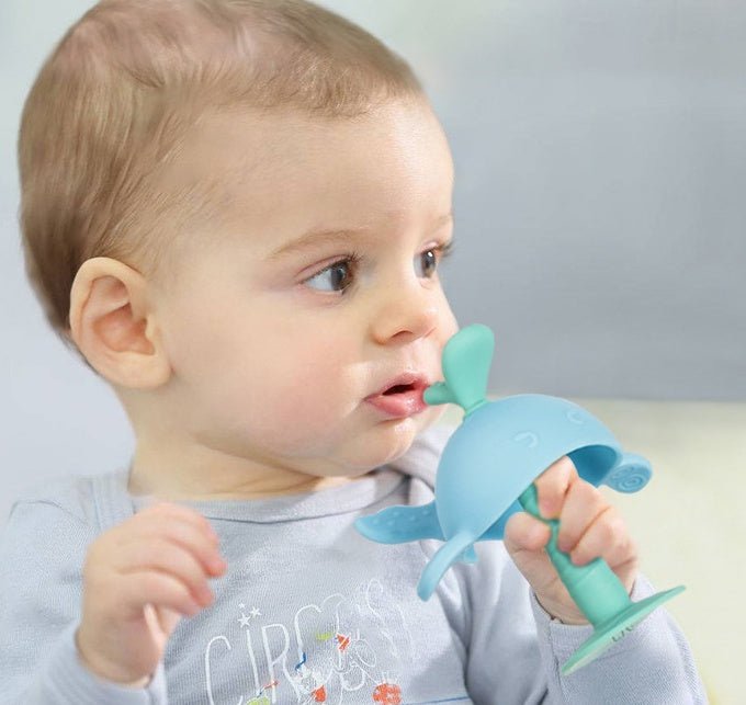 Baby teething toy - Nexxcart