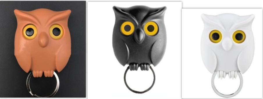 Night Owl Magnetic Wall Key Holder Wall Magnets Keep Keychains Hooks - Nexxcart